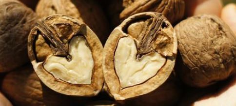 こんなクルミは買ってはいけない 正しいクルミの選び方 今日も楽しく暮らす 考える暮らし